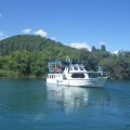 Type de bateau pour excursion