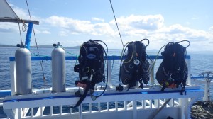 Philippines Prana divers Bohol