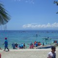 CEBU Oslob Requins Baleines