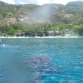 CEBU Oslob Requins Baleines10