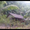 Nuts Huts Loboc River Bohol Philippines (4)