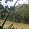Nuts Huts Philipiines Bohol Loboc River0001