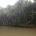 Nuts Huts Philipiines Bohol Loboc River0006