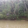 Nuts Huts Philipiines Bohol Loboc River0008