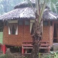 Nuts Huts Philipiines Bohol Loboc River0013