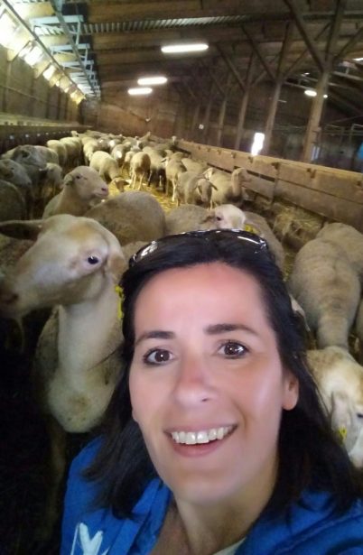 chrisvoyages-aveyron-larzac-bergerie