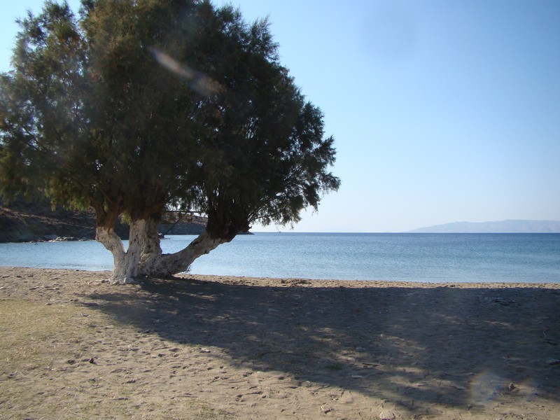 Grece Cyclades Kythnos Chrisvoyages