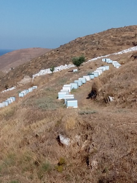 Grece Cyclades Kythnos Chrisvoyages