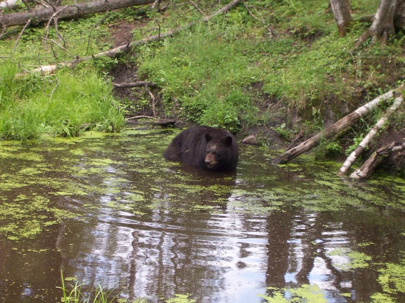 canada-dormir-dans-1-tipi-mokotakan